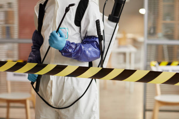 Professional Sewage Cleanup technician working in Carnelian Bay, CA